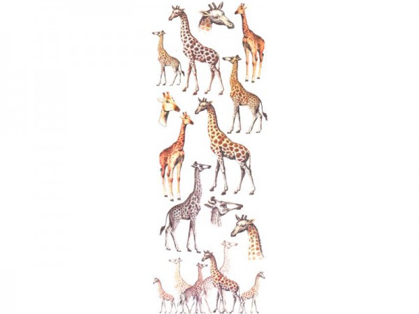 Transfermotive "Giraffen"