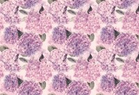 Decoupagepapier "Hortensie" 3 Decoupagepapier "Hortensie" 3