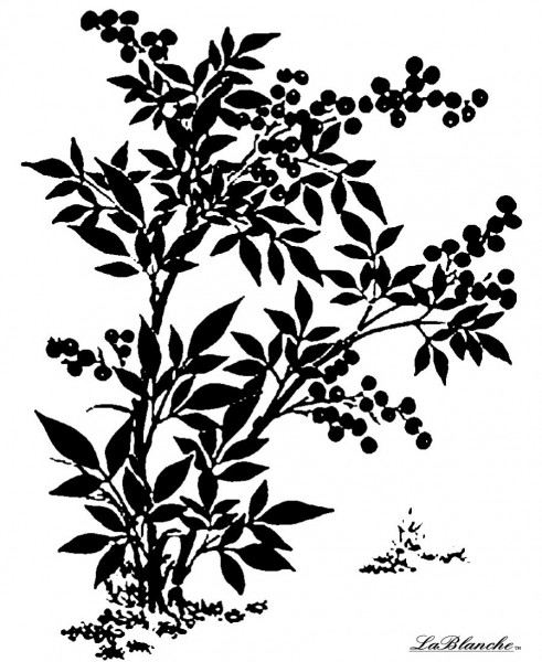 Stempel "Beerenstrauch"