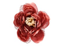 Pfingstrose auf Clip - Rot Pfingstrose auf Clip - Rot