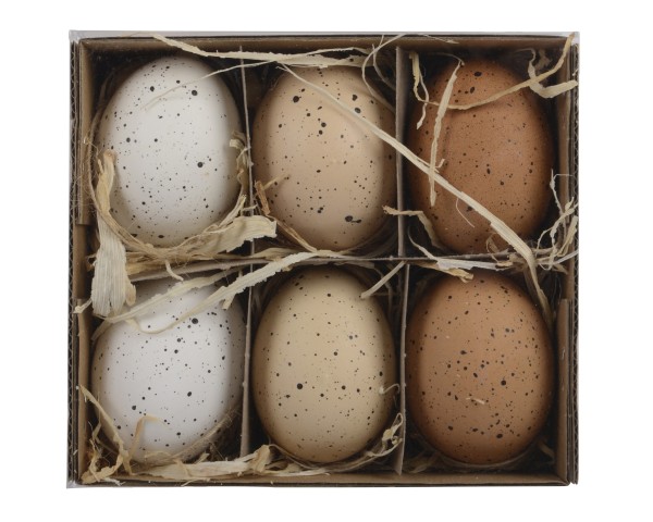 Hühnereier 6er Set - Versch. Farben K891311