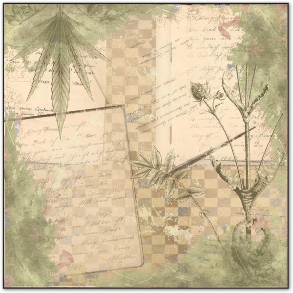 Designpapier "Hintergrund" 2 (30 x 30 cm)