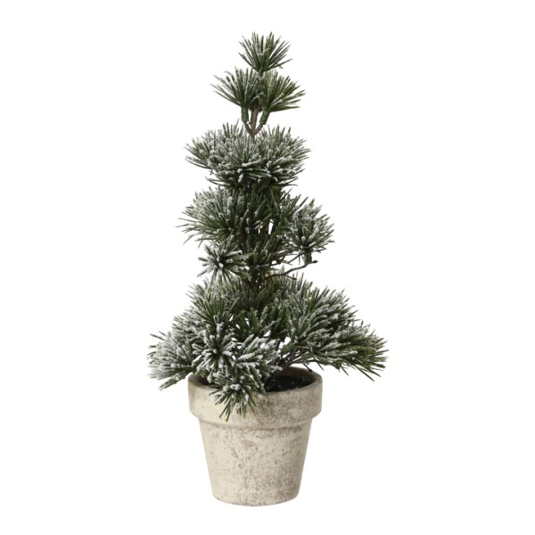 Mini-Baum Indoor "Kiefer" - 30 cm K681195-c