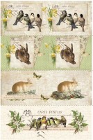 Schrumpfbanderolen für Gänseeier 6 Schrumpfbanderolen für Gänseeier 6