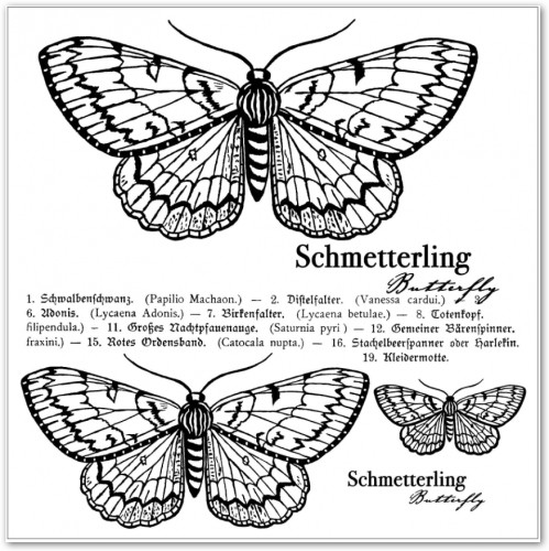 Gold-Bügelmotiv Schmetterling