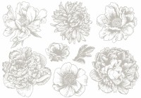 Metallic Transfermotiv "Blumen" 4 - Silber Metallic Transfermotiv "Blumen" 4 - Silber