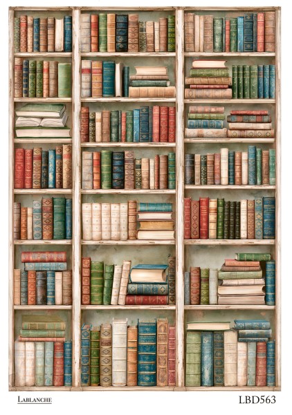 Reispapier "Bücherregal" LBD563