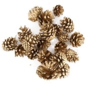 Zapfen - gold Zapfen - gold