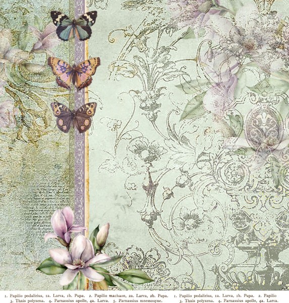 Designpapier "Magnolie" 2