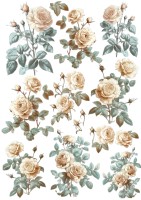 Transfermotiv "Josephine" 3 Transfermotiv "Josephine" 3