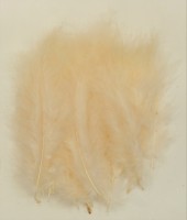 Truthahnfedern - Cremeweiß (ca. 30 St.) Truthahnfedern - Cremeweiß (ca. 30 St.)