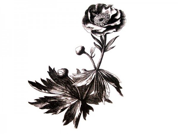Stempel "Butterblume"