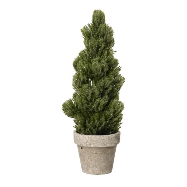 Mini-Baum Indoor "Fichte" - 30 cm K681195-d