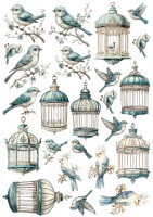 Transfermotiv "Josephine" 1 Transfermotiv "Josephine" 1