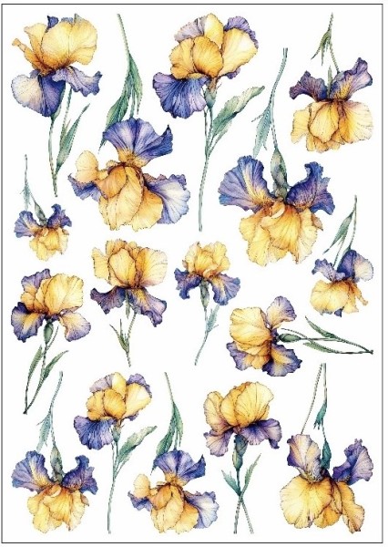 Transfermotiv "Enya" 3 (Iris)