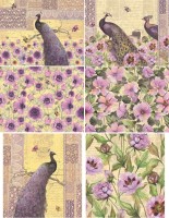 Set Schrumpfbanderolen "Classic" Set Schrumpfbanderolen "Classic"