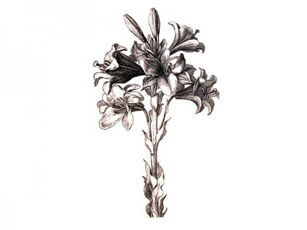 Stempel "Lilie" 2