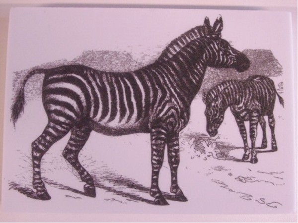 Stempel "Zebra"