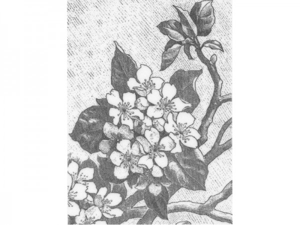 Stempel "Blume"