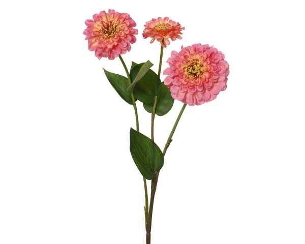 Zinnie Blume 47cm - Rosa K899823
