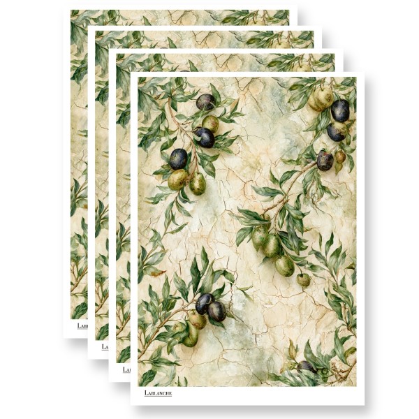4er Set Reispapier "Olive 1" - ANGEBOT