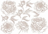 Metallic Transfermotiv "Blumen" 2 - Silber Metallic Transfermotiv "Blumen" 2 - Silber