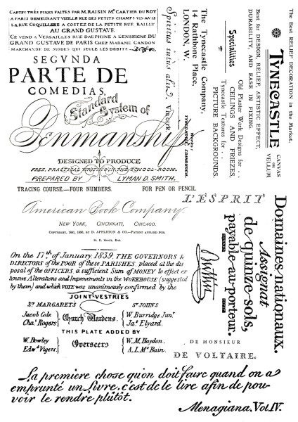 Transfermotiv "Josephine" 4
