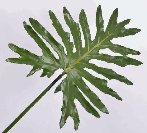 Philodendronblatt 86 cm - grün