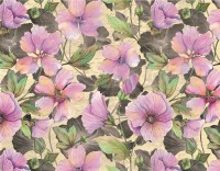 Schrumpfbanderole "Classic" 5 Schrumpfbanderole "Classic" 5