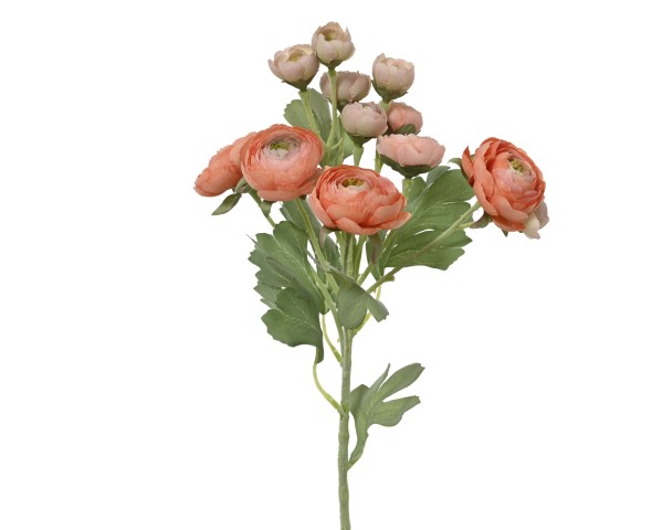 Ranunkel Blume 55cm - Zweifarbig K899801