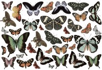 Decoupagepapier "French Labels" 1 Decoupagepapier "French Labels" 1