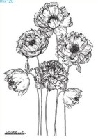 Stempel "Mohnblüten" Stempel "Mohnblüten"