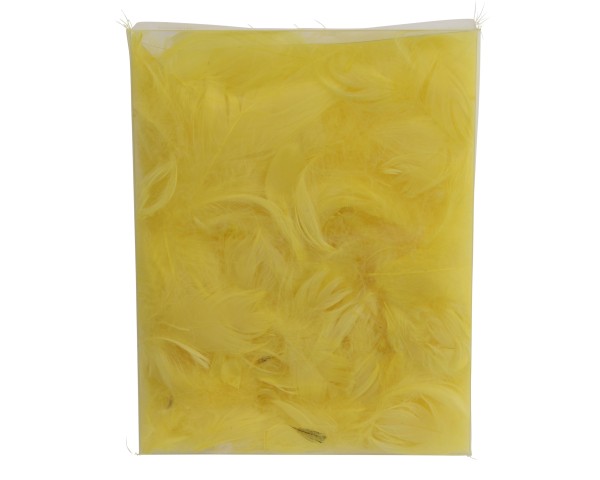 Federbox - Gelb K874659