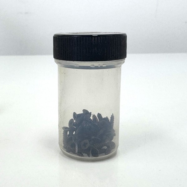 Schraubenset Kreuz (ca. 50 Stk.) - 1cm