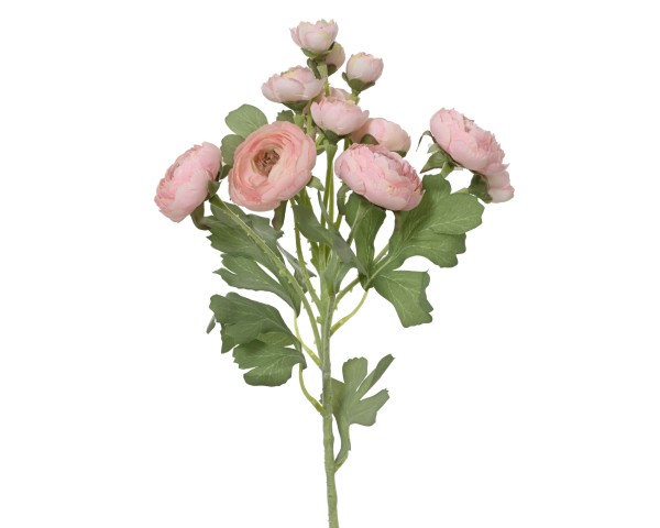 Ranunkel Blume 55cm - Rosa K899798