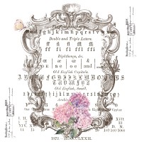 Bügelmotiv 16 Hortensien Bügelmotiv 16 Hortensien